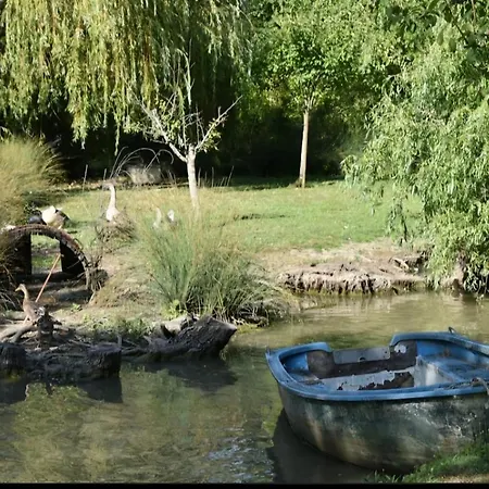 Rive Charente Le Bateau *