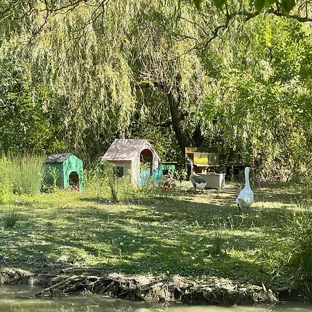 Rive Charente Le Bateau * Bords