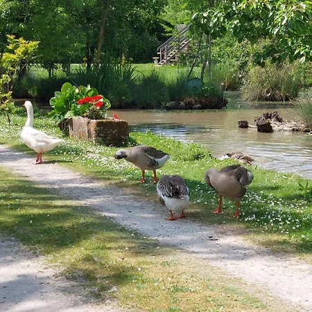 Rive Charente Le Bateau *