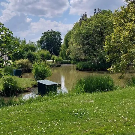 Rive Charente Le Bateau *