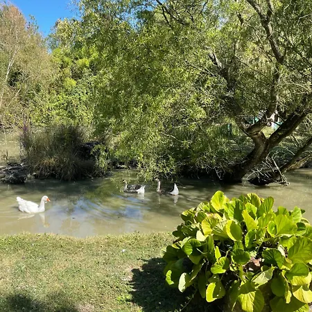 Rive Charente Le Bateau *