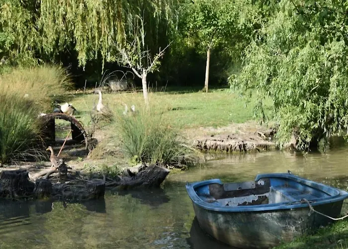 Rive Charente Le Bateau *