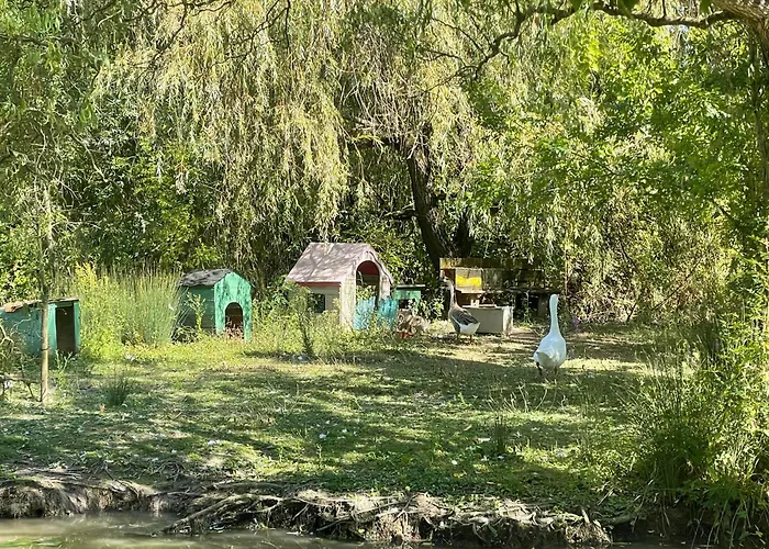 Rive Charente Le Bateau * Bords