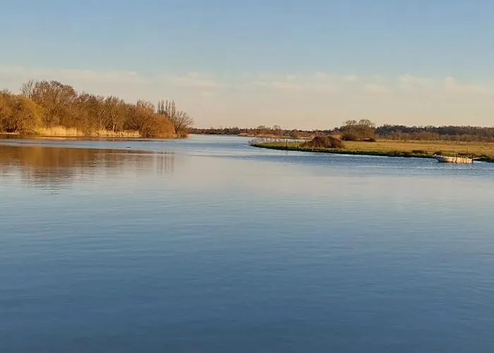 Rive Charente Le Bateau *