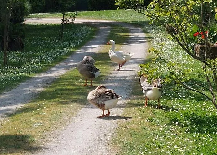 Dom wakacyjny Rive Charente Le Bateau Bords