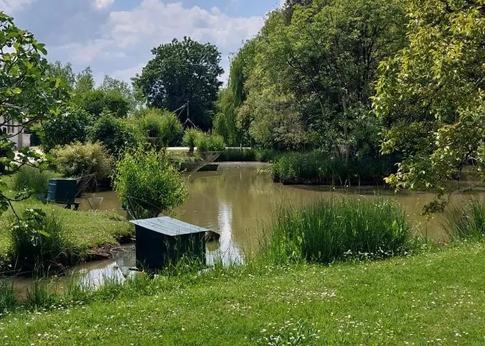 Rive Charente Le Bateau *