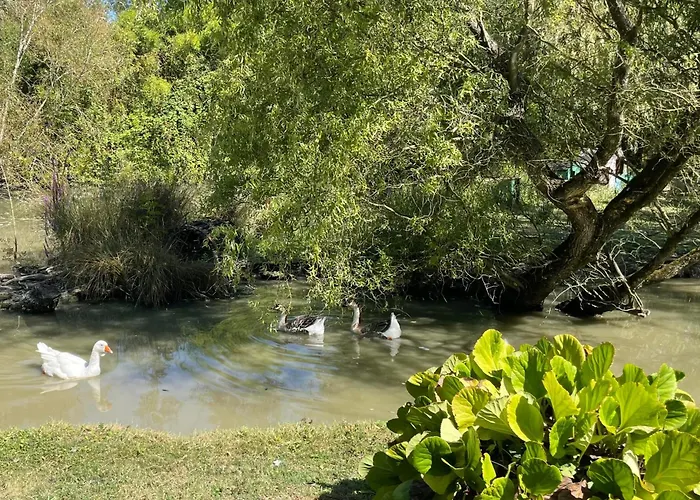 Rive Charente Le Bateau *